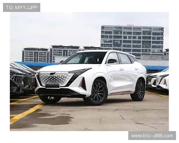 z6尊龙豪华SUV性能表现全面提升实现越野与城市驾驶的完美平衡体验极致动力 z6尊龙豪华SUV性能表现全面提升实现越野与城市驾驶的完美平衡体验极致动力