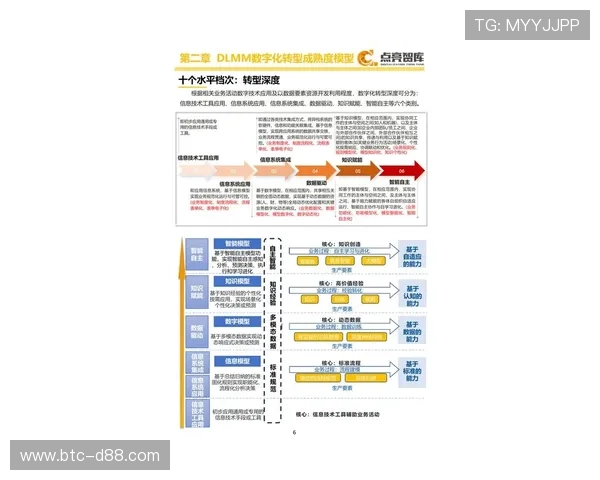 尊龙公司数字化转型的具体措施与实施效果分析