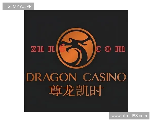 尊龙app网站客户服务与常见问题解决方案，保障您的顺畅体验
